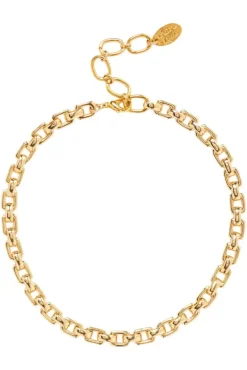 Chan Luu Inc. Chan Luu Ellis Chain Link Necklace in^ Necklaces