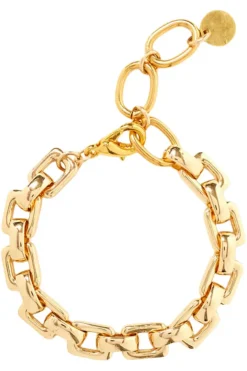 Chan Luu Inc. Chan Luu Ellis Chain Link Bracelet in^ Bracelets