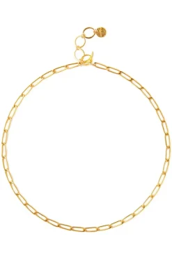 Chan Luu Inc. Chan Luu Link Necklace in^ Necklaces